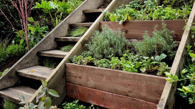 Что нужно знать про садовые лестницы?